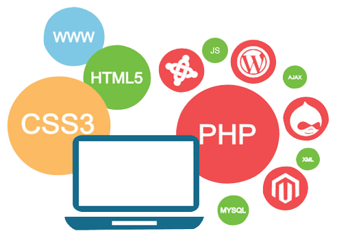 Web application development service